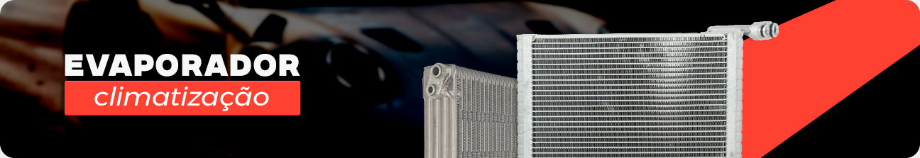 CATEGORIA EVAPORADOR