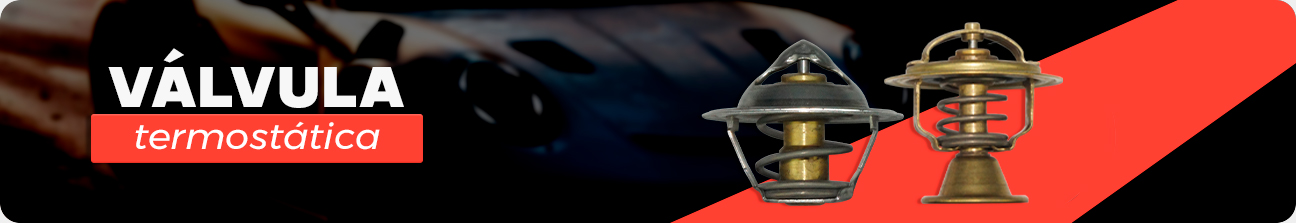 CATEGORIA VALVULA